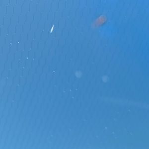 Meet your Posher, Anibal